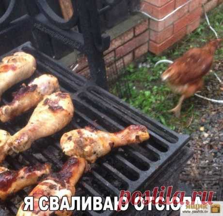 Позитивный вечер / Картинки: Приколы