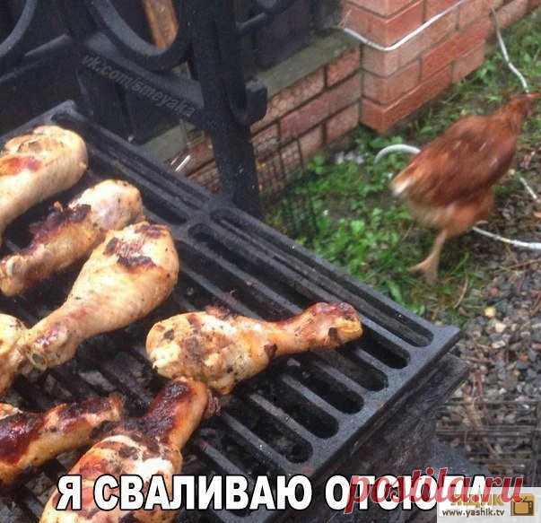 Позитивный вечер / Картинки: Приколы