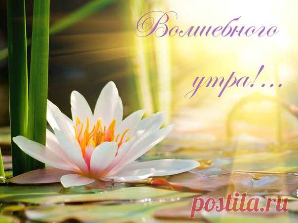 С добрым утром субботы, хорошего дня, отличных выходных!❤