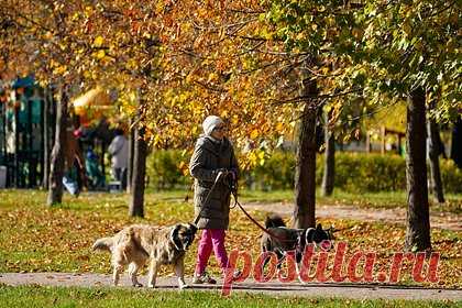 Названа дата начала бабьего лета в Москве