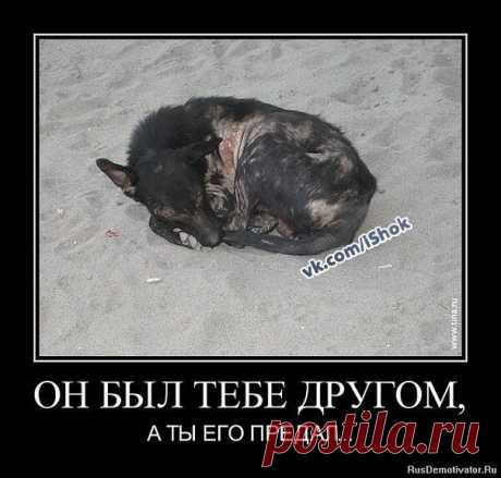 МЫ В ОТВЕТЕ...