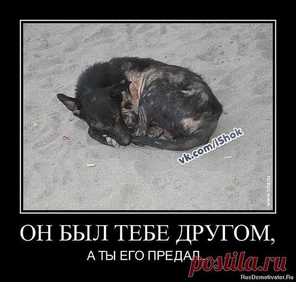 МЫ В ОТВЕТЕ...