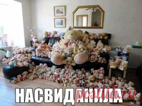 Анекдоты посмеяться