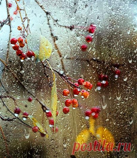 Утешительное... (Иван Серенький) / Стихи.ру