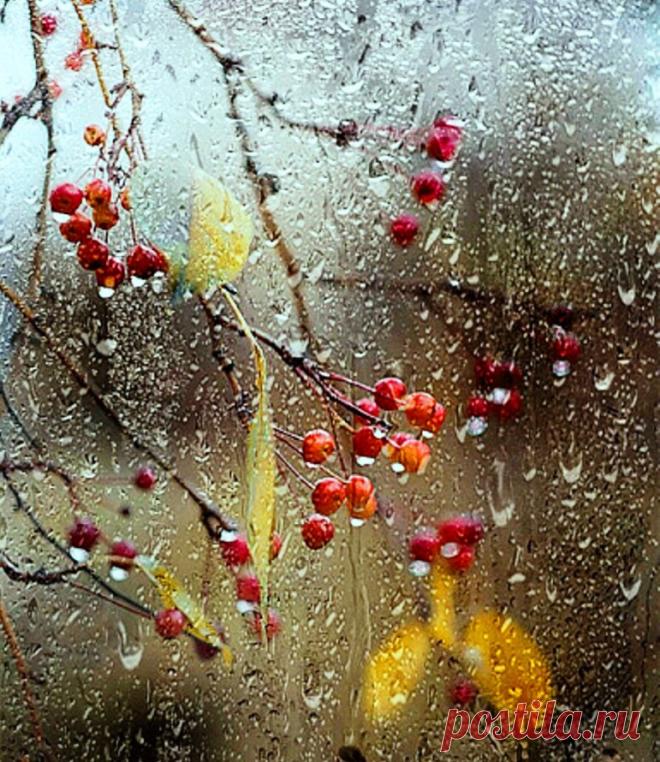 Утешительное... (Иван Серенький) / Стихи.ру