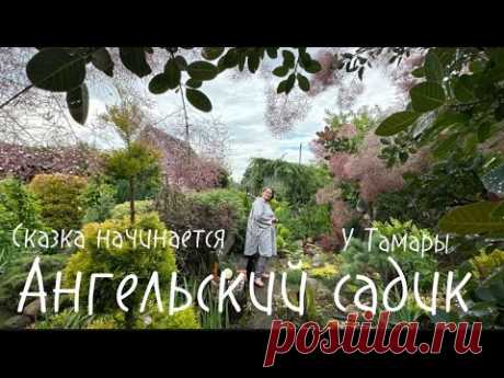 Ангельский садик в гостях  у Тамары . Любимый сад у Татьяны экскурсия. Сад своими руками.