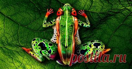 Тест на внимательность: Сколько людей вы видите на этой картинке? | Скиталец | Яндекс Дзен