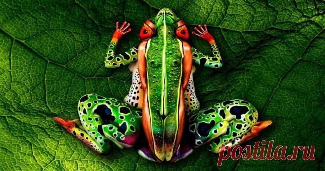 Тест на внимательность: Сколько людей вы видите на этой картинке? | Скиталец | Яндекс Дзен