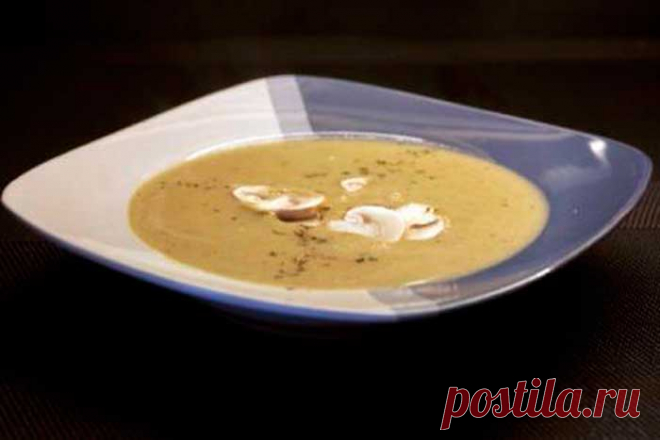 Грибной суп пюре с плавленным сыром | Recept-Fresh