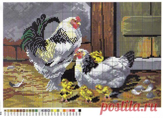 (637) Gallery.ru / Фото #69 - Hydina - zuzas | chicken and rooster