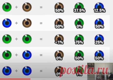 Скриншот-27-05-2024 18:32:43.jpg