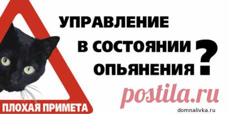 Калькулятор промилле | Домашние настойки, наливки