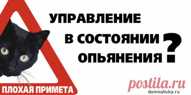Калькулятор промилле | Домашние настойки, наливки