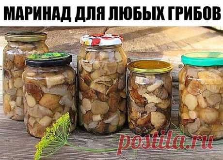 Маринад для любых грибов.