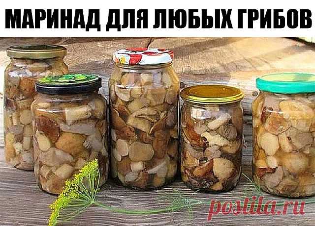 Маринад для любых грибов.