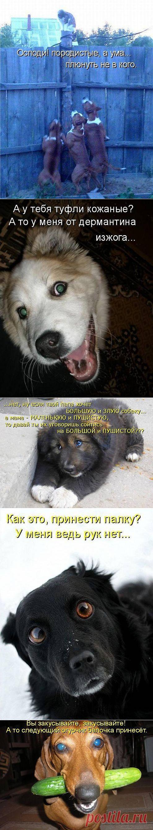 Где найти такую лужу?))) | НАШ ГОРОДОК