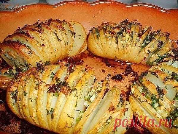 10 вкусных рецептов из картофеля » В сети – себя просвети!