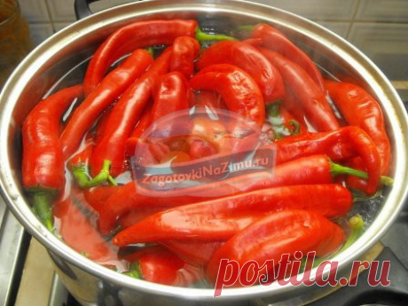Маринованный острый перец на зиму. Золотые рецепты