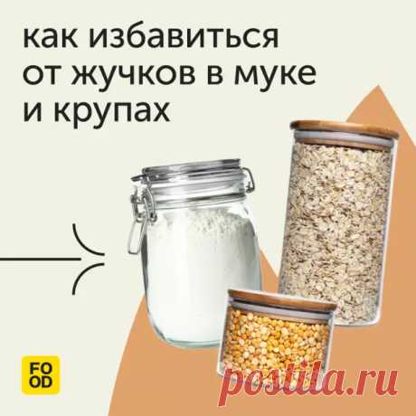 Наверное, вы замечали, что в муке и крупах иногда появляются жучки. - Дачно-огородные радости - Медиаплатформа МирТесен