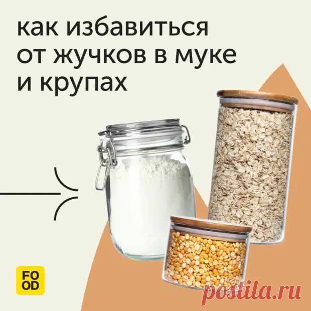 Наверное, вы замечали, что в муке и крупах иногда появляются жучки. - Дачно-огородные радости - Медиаплатформа МирТесен