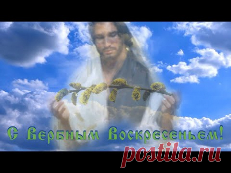 Поздравительная видео открытка с Вербным Воскресеньем

#Вербное_Воскресенье 17 апреля – трогательный #православный_праздник. Многие верующие относятся к нему со всей серьезностью и ответственностью. По древним писаниям, этот день символизирует вход Господня в Иерусалим.