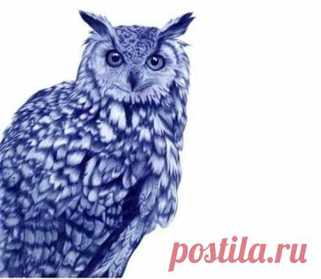 Невероятные рисунки, сделанные обычной шариковой ручкой | Краше Всех