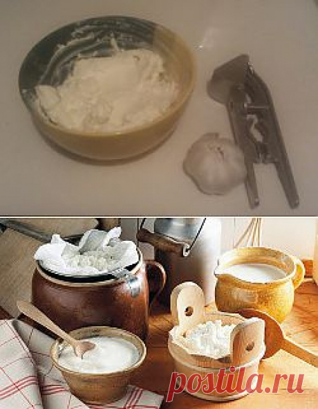 Мацони приготовить дома | Мацун — армянский национальный продукт для здоровья