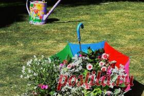 клумба из старого зонта