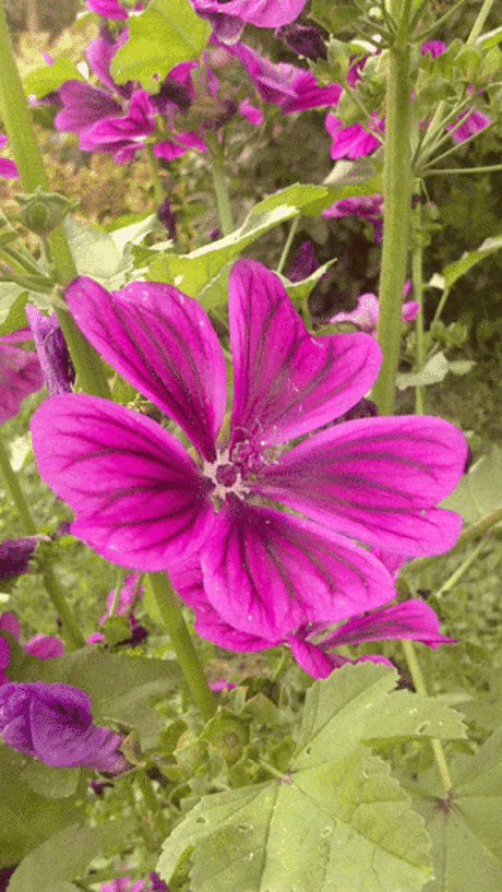 Alaaddin BOZKIR – Google+