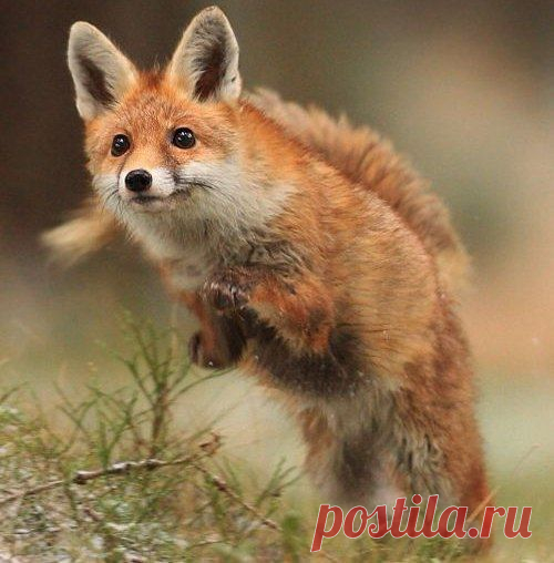 Интересные новости