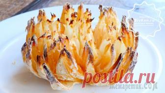 Хризантема в духовке вкусная хрустящая закуска Ингредиенты: лукмукаяйцасольперецпаприкачесноксметанаПриготовление:1. Для панировки просеиваем муку. Яйцо смешиваем с солью, перцем и паприкой.2. Берем луковицу, кладем ее на горлышко банки, чтобы лук...