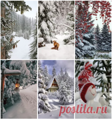 Вот север, тучи нагоняя, дохнул, завыл – и вот сама