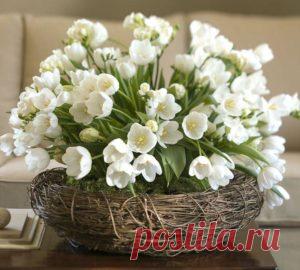 Уютный декор для небольшой квартиры - Postel-Deluxe.ru