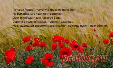 С днем святого Лариона,
Удачи, радости, любви.
Будьте вы всегда счастливы,
Пусть исполнятся мечты.