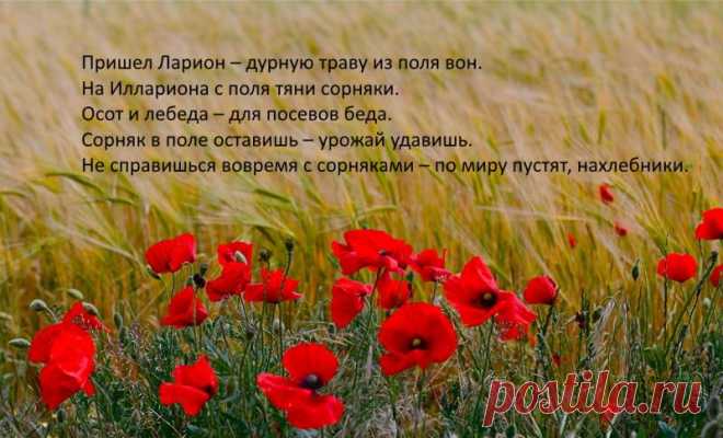 С днем святого Лариона,
Удачи, радости, любви.
Будьте вы всегда счастливы,
Пусть исполнятся мечты.