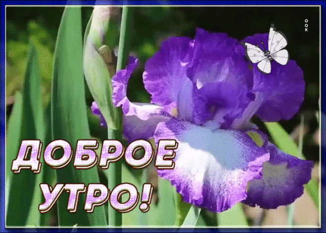 Приятная открытка доброе утро