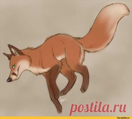 Лиса арт :: Лиса :: сообщество фанатов / картинки, гифки, прикольные комиксы, интересные статьи по теме.
