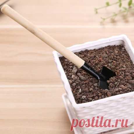 Дачный участок