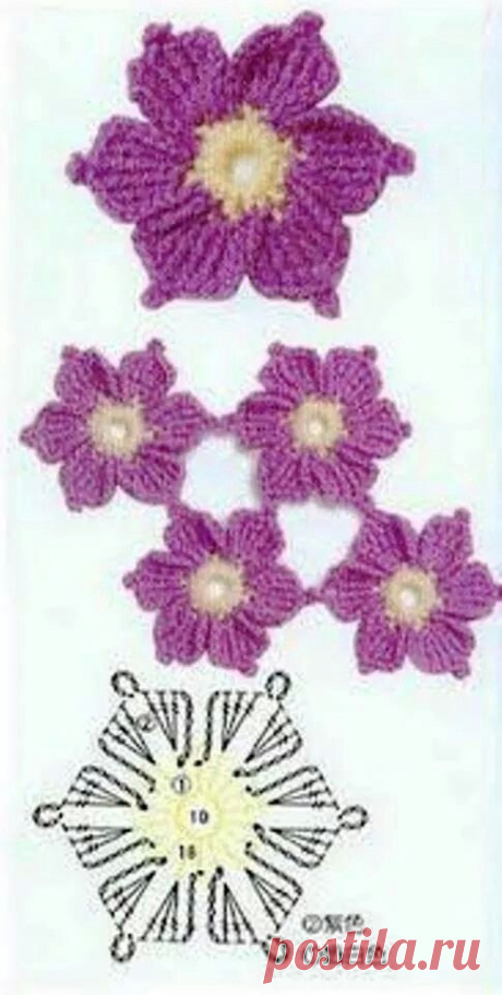 Flores