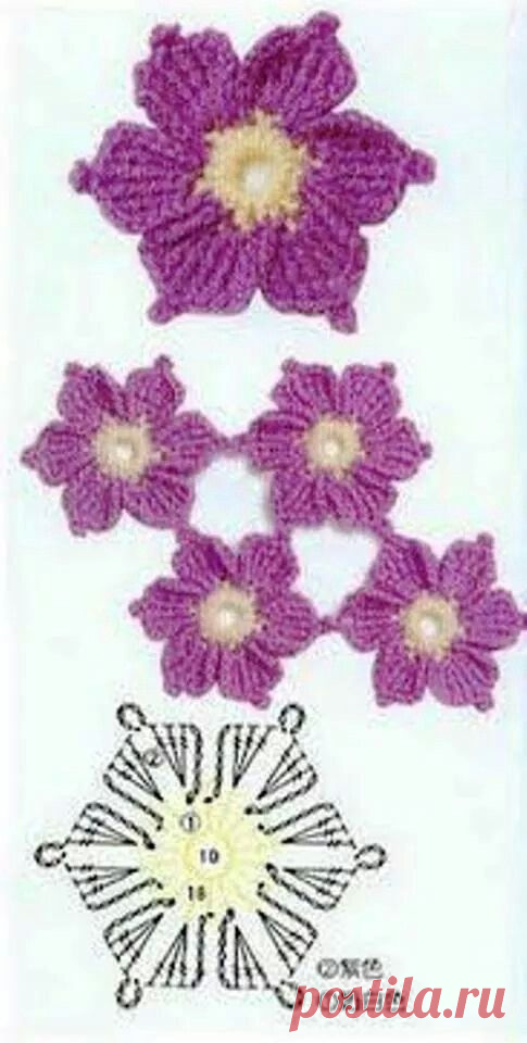 Flores