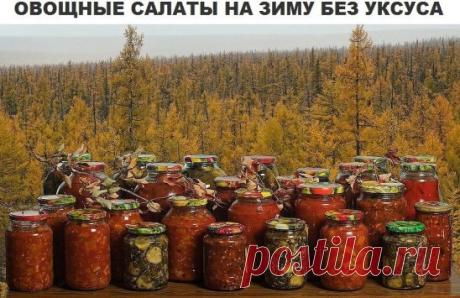 Рецепт кабачково-яблочного салата на зиму.  Понадобится: 4кг кабачков, 500мл кипятка, по 300г томатной пасты и растительного масла, 200г сахара, 100г соли, 10 лавровых листиков, 6 кислых яблок, по 5 гвоздик и горошин перца, ½ стакана тертого чеснока.
Как закрутить на зиму салат из яблок и кабачков. Яблоки и кабачки нарезать соломкой или потереть на крупной терке, томат-пасту развести кипятком, добавить в нее соль и сахар, лавр, гвоздику и перец, масло, перемешать и положит...