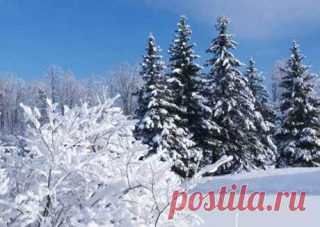 Календарь народных примет погоды на декабрь