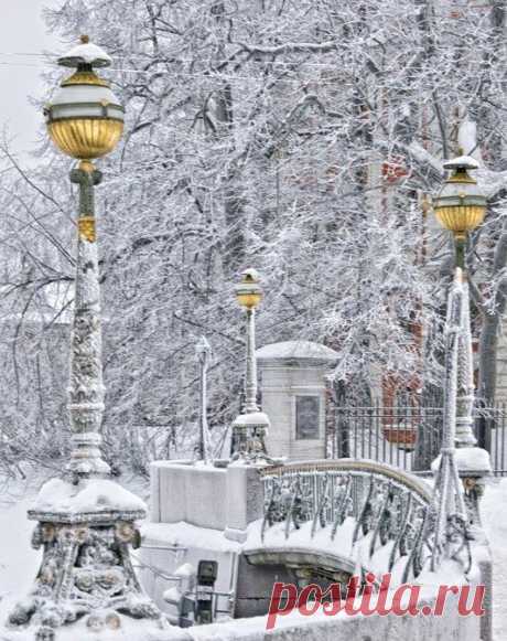 Winter time in St. Petersburg. For some reason, when I saw this, I immediately thought of Narnia...  | Найдено на сайте 56thparallel.com.