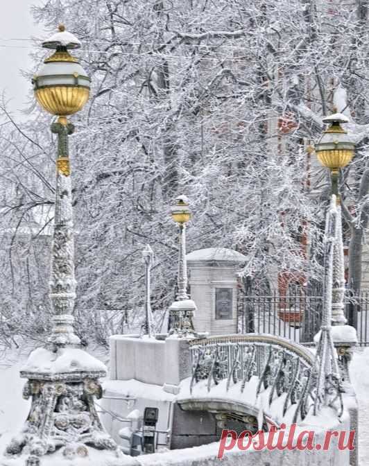 Winter time in St. Petersburg. For some reason, when I saw this, I immediately thought of Narnia...  | Найдено на сайте 56thparallel.com.