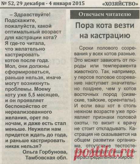 Пора кота везти на кастрацию