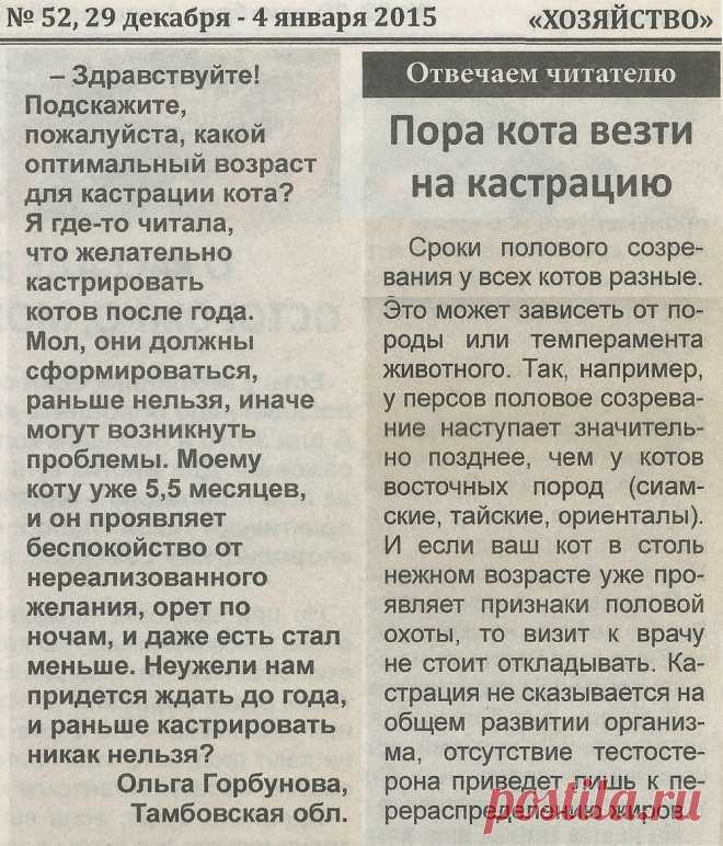 Пора кота везти на кастрацию