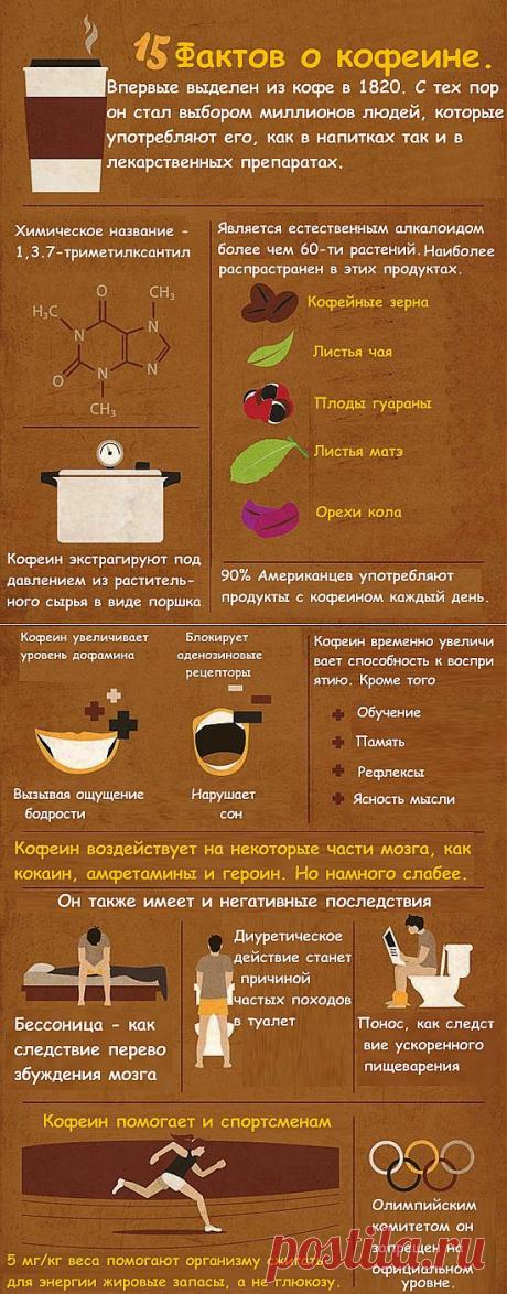 15 фактов о кофе | Зашибись