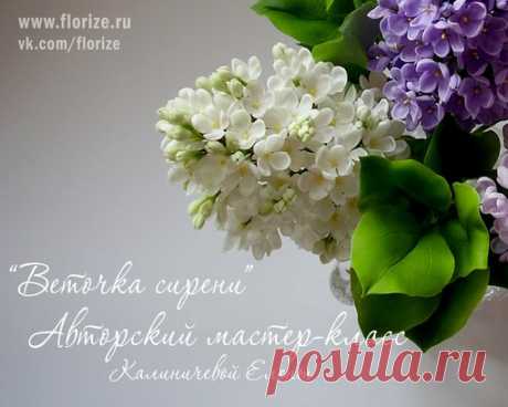 Елена Переливская