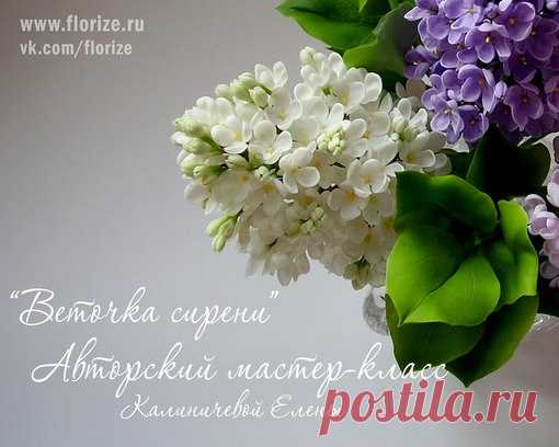 Елена Переливская