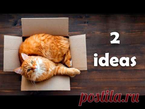 2 поделки из картона для вашего кота